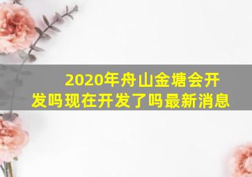 2020年舟山金塘会开发吗现在开发了吗最新消息