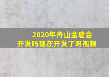 2020年舟山金塘会开发吗现在开发了吗视频