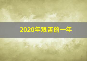 2020年艰苦的一年