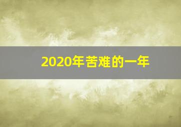 2020年苦难的一年