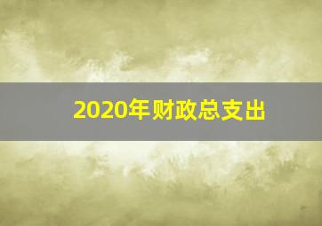 2020年财政总支出