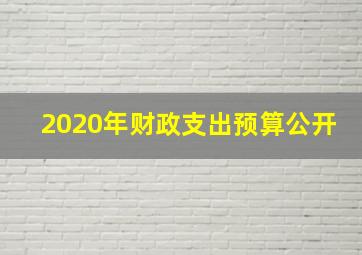 2020年财政支出预算公开