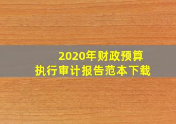 2020年财政预算执行审计报告范本下载