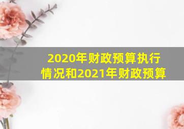 2020年财政预算执行情况和2021年财政预算