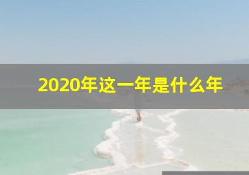 2020年这一年是什么年