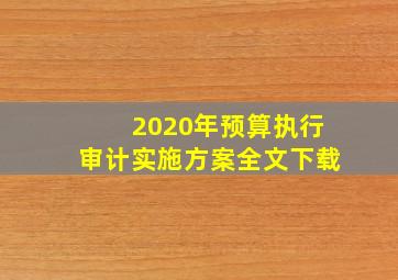 2020年预算执行审计实施方案全文下载