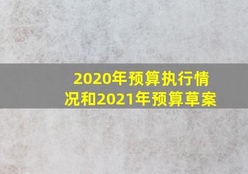 2020年预算执行情况和2021年预算草案