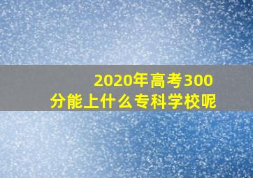 2020年高考300分能上什么专科学校呢