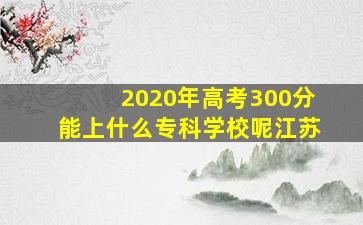 2020年高考300分能上什么专科学校呢江苏