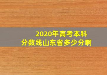 2020年高考本科分数线山东省多少分啊