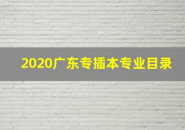 2020广东专插本专业目录