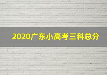 2020广东小高考三科总分