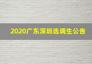 2020广东深圳选调生公告