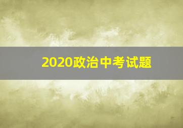 2020政治中考试题