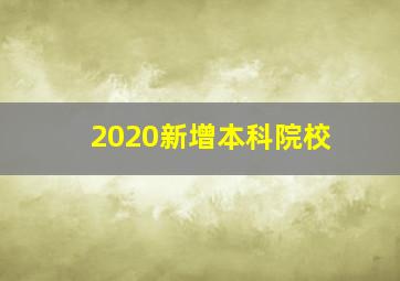 2020新增本科院校