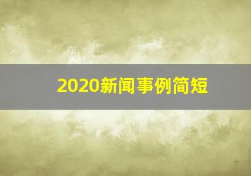 2020新闻事例简短