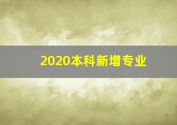 2020本科新增专业