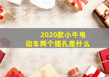 2020款小牛电动车两个插孔是什么