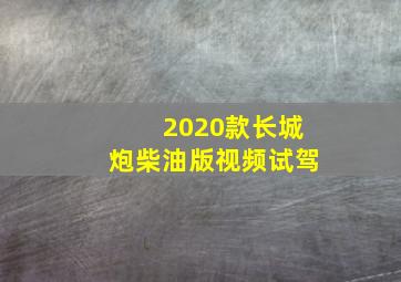 2020款长城炮柴油版视频试驾