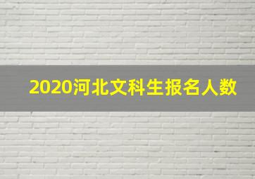 2020河北文科生报名人数