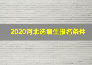 2020河北选调生报名条件