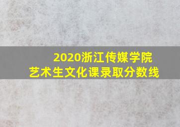 2020浙江传媒学院艺术生文化课录取分数线