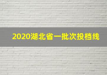 2020湖北省一批次投档线