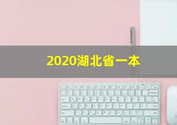 2020湖北省一本