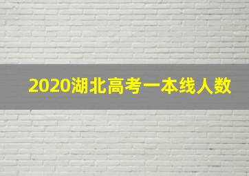 2020湖北高考一本线人数