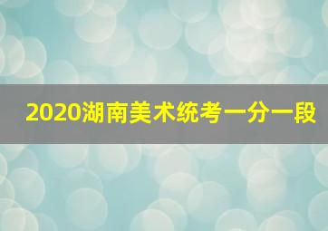 2020湖南美术统考一分一段