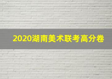 2020湖南美术联考高分卷