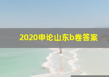 2020申论山东b卷答案