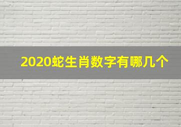 2020蛇生肖数字有哪几个