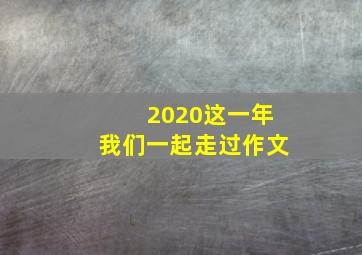 2020这一年我们一起走过作文