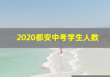 2020都安中考学生人数