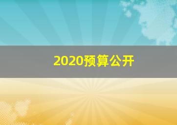 2020预算公开