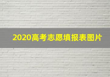 2020高考志愿填报表图片