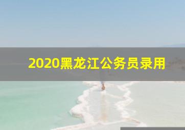 2020黑龙江公务员录用