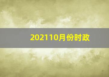 202110月份时政