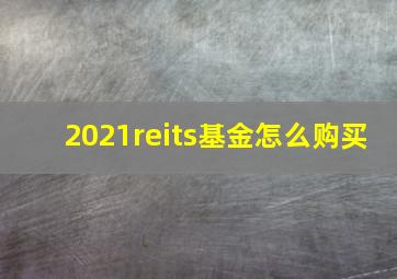 2021reits基金怎么购买