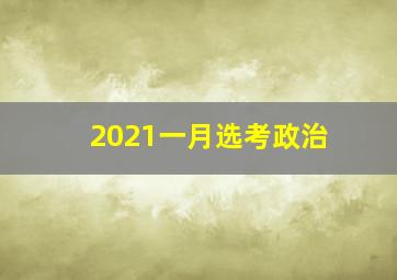 2021一月选考政治