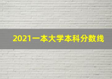 2021一本大学本科分数线