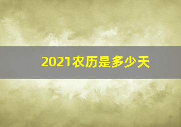 2021农历是多少天