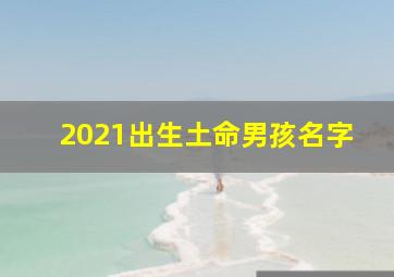 2021出生土命男孩名字