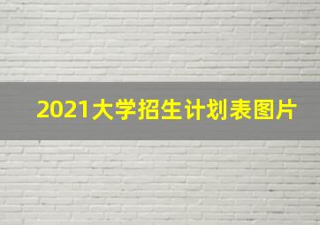 2021大学招生计划表图片