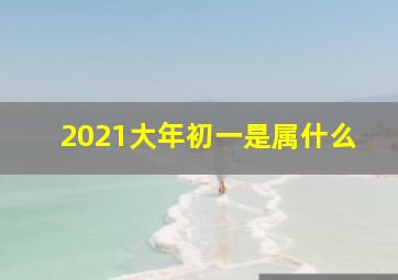 2021大年初一是属什么