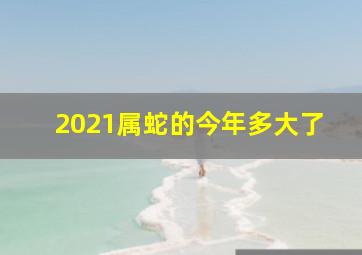 2021属蛇的今年多大了