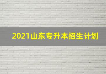 2021山东专升本招生计划