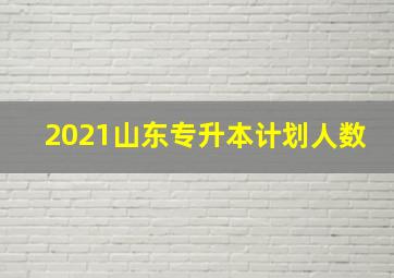 2021山东专升本计划人数