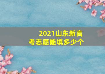 2021山东新高考志愿能填多少个